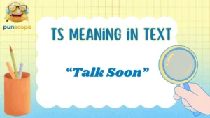 ts meaning in text