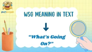 WSG meaning in text
