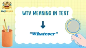 WTV meaning in text