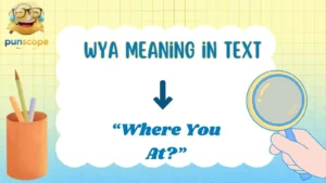 WYA meaning in text