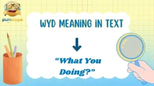 WYD meaning in text