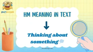 HM meaning in text 