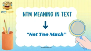 NTM meaning in text
