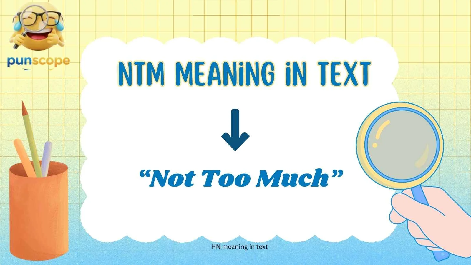 NTM meaning in text