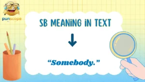 Sb Meaning in Text