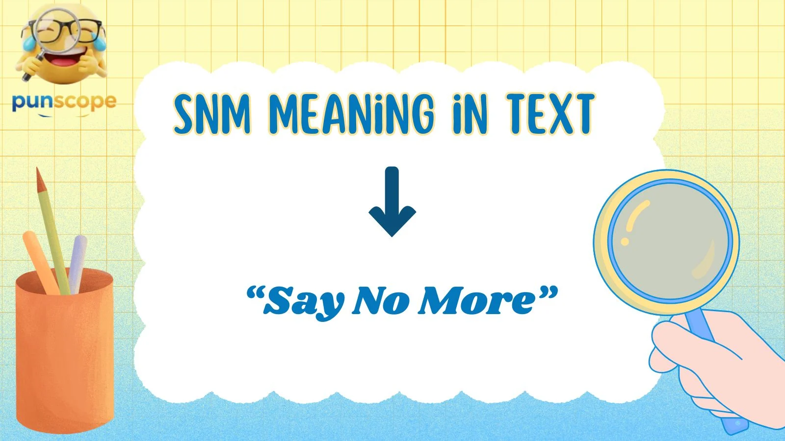 SNM meaning in text 