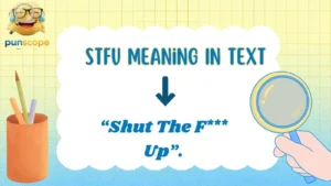 Stfu Meaning In Text