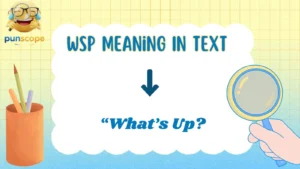 WSP Meaning In Text