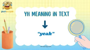 YH meaning in text